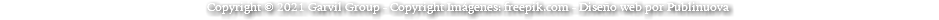 Copyright © 2021 Garvil Group - Copyright Imágenes: freepik.com - Diseño web por Publinuova